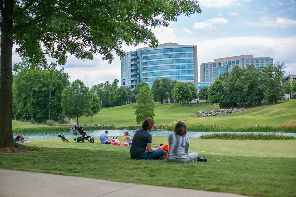 dentist in ballantyne