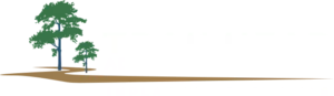 Trailhead Advanced Dentistry Logo